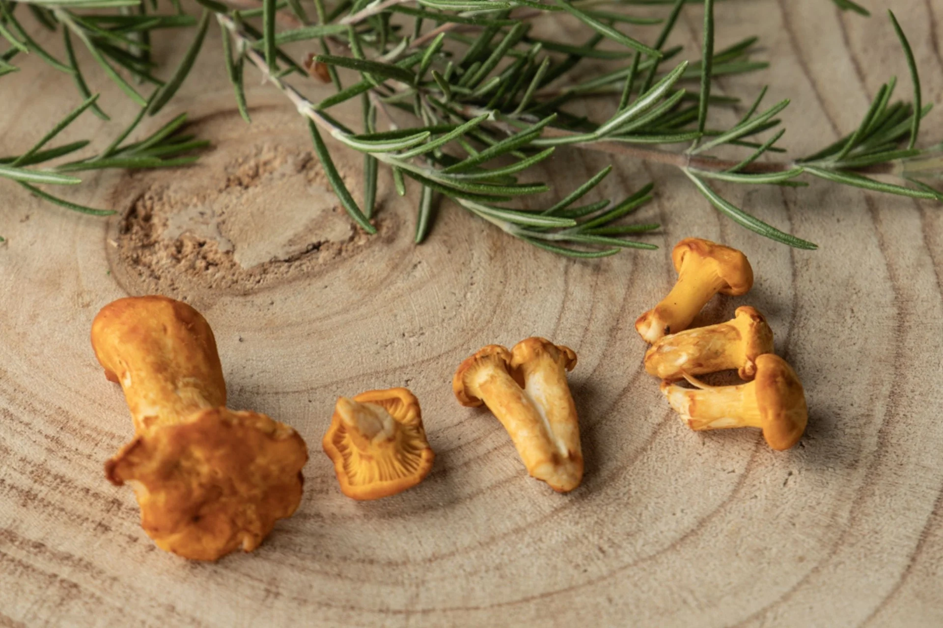 Gregors Sommerrezept: Gnocchi mit Basilikumpesto und Eierschwammerln Frische Pfifferlinge und Rosmarinzweige auf einem Holzbrett