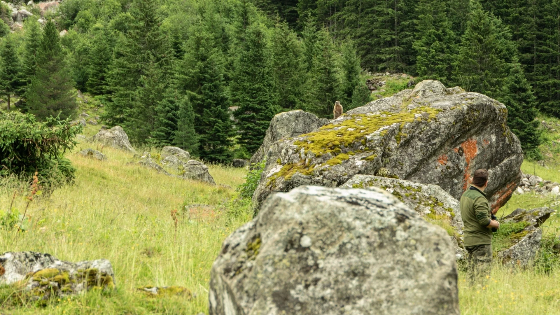 Wild Watching im Obersulzbachtal Wild Watching im Obersulzbachtal