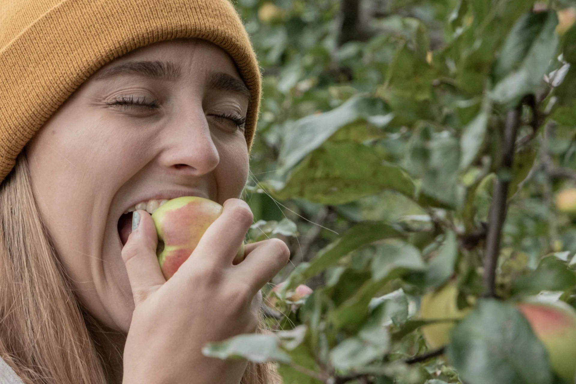 Apfel-Zimt-Marmelade Apfel-Zimt-Marmelade
