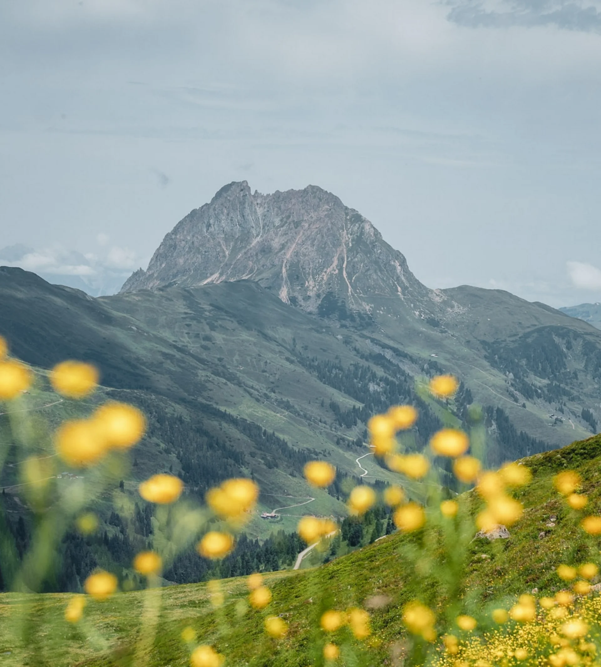 Wandern Wandern