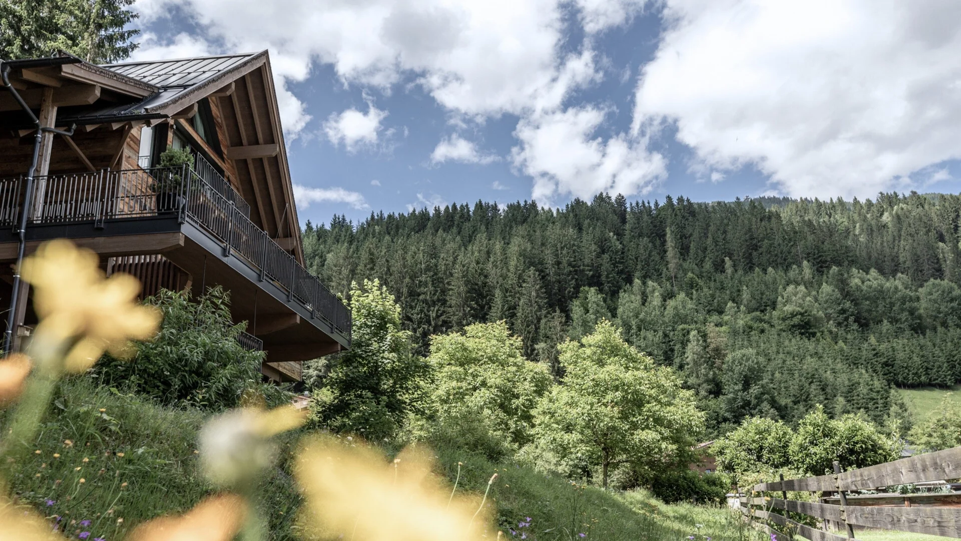 Baumhaus Baumhaus