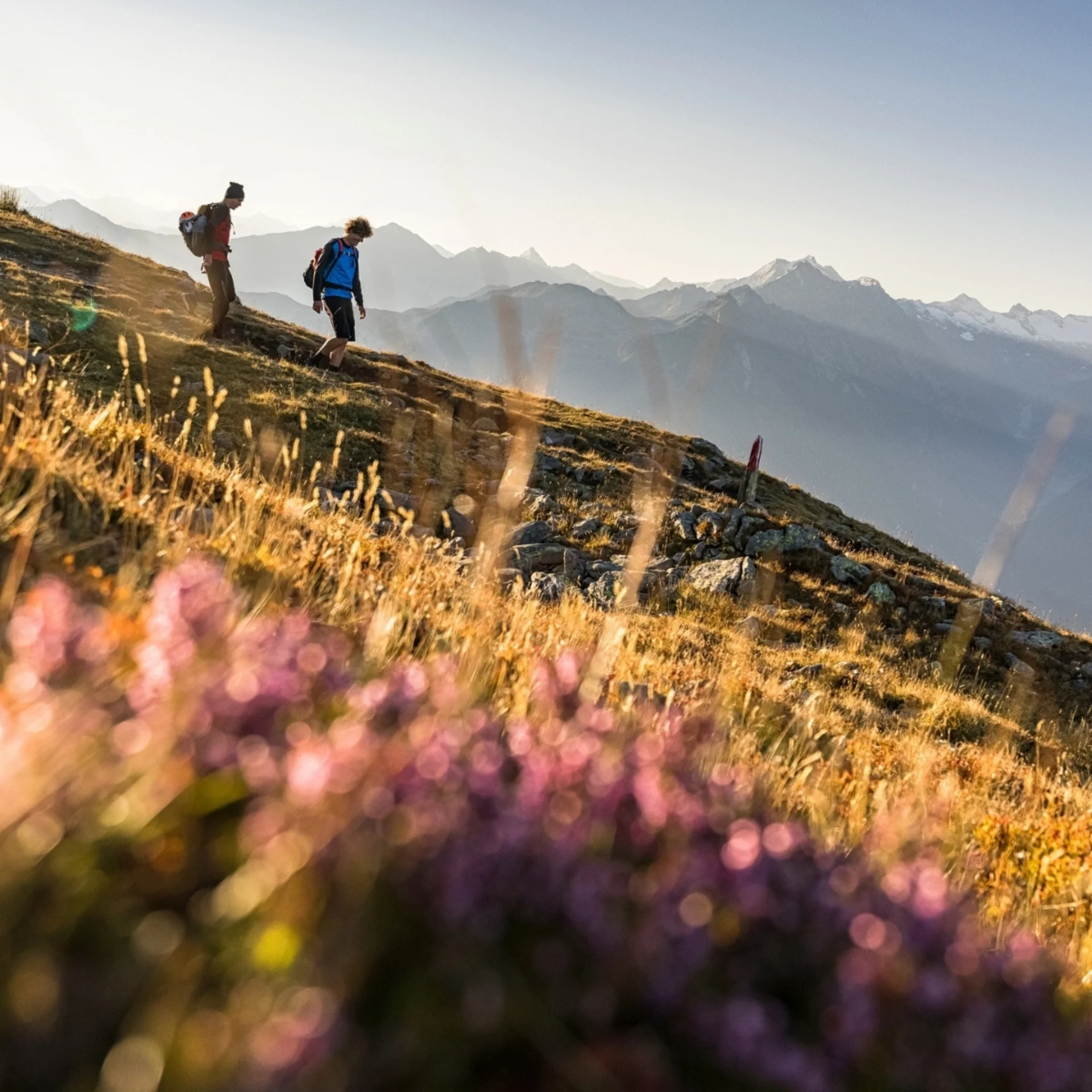 Mid.Week 4=3 Zwei Wanderer auf einem Bergpfad mit Alpenpanorama im Hintergrund
