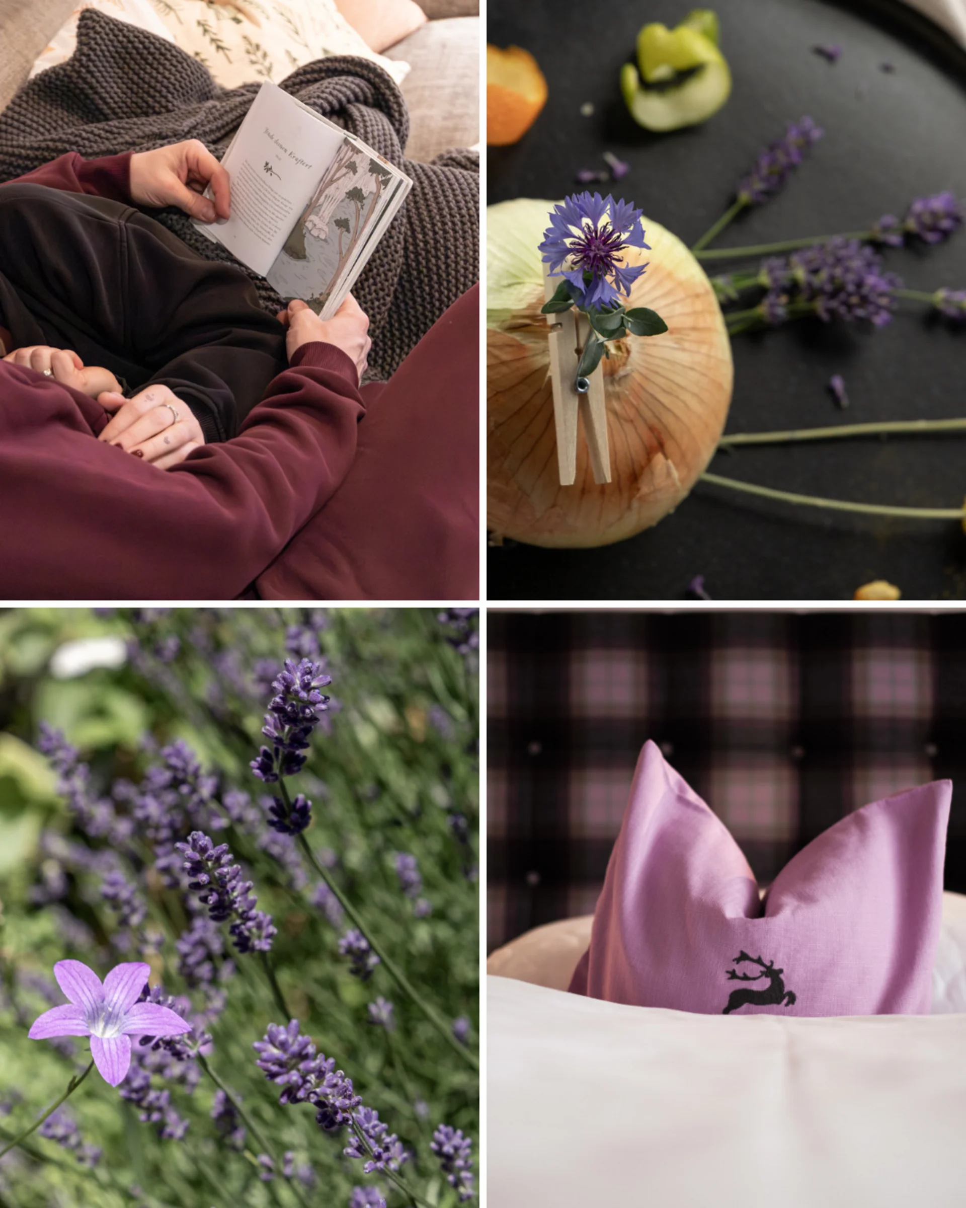 Colour Hunting Sommerchallenge Collage mit Lesenden, Blume in Zwiebel, Lavendelfeld und lila Kissen