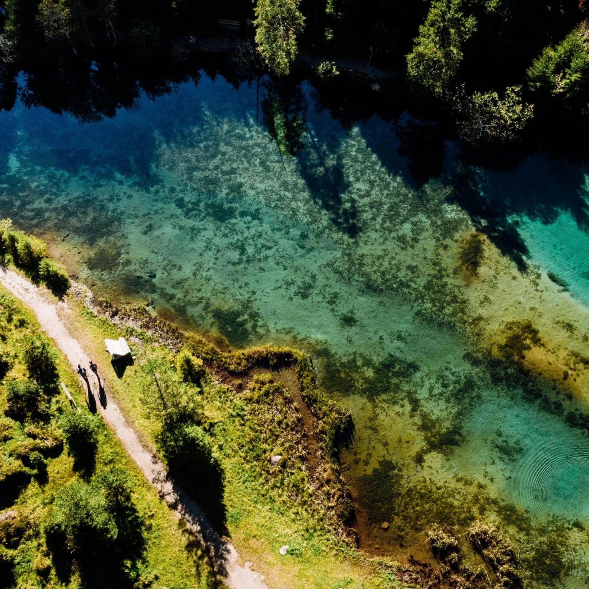 Babymoon im Gassner Baumhaus Luftaufnahme von einem Pfad neben klarem Fluss und Wald im Sonnenschein