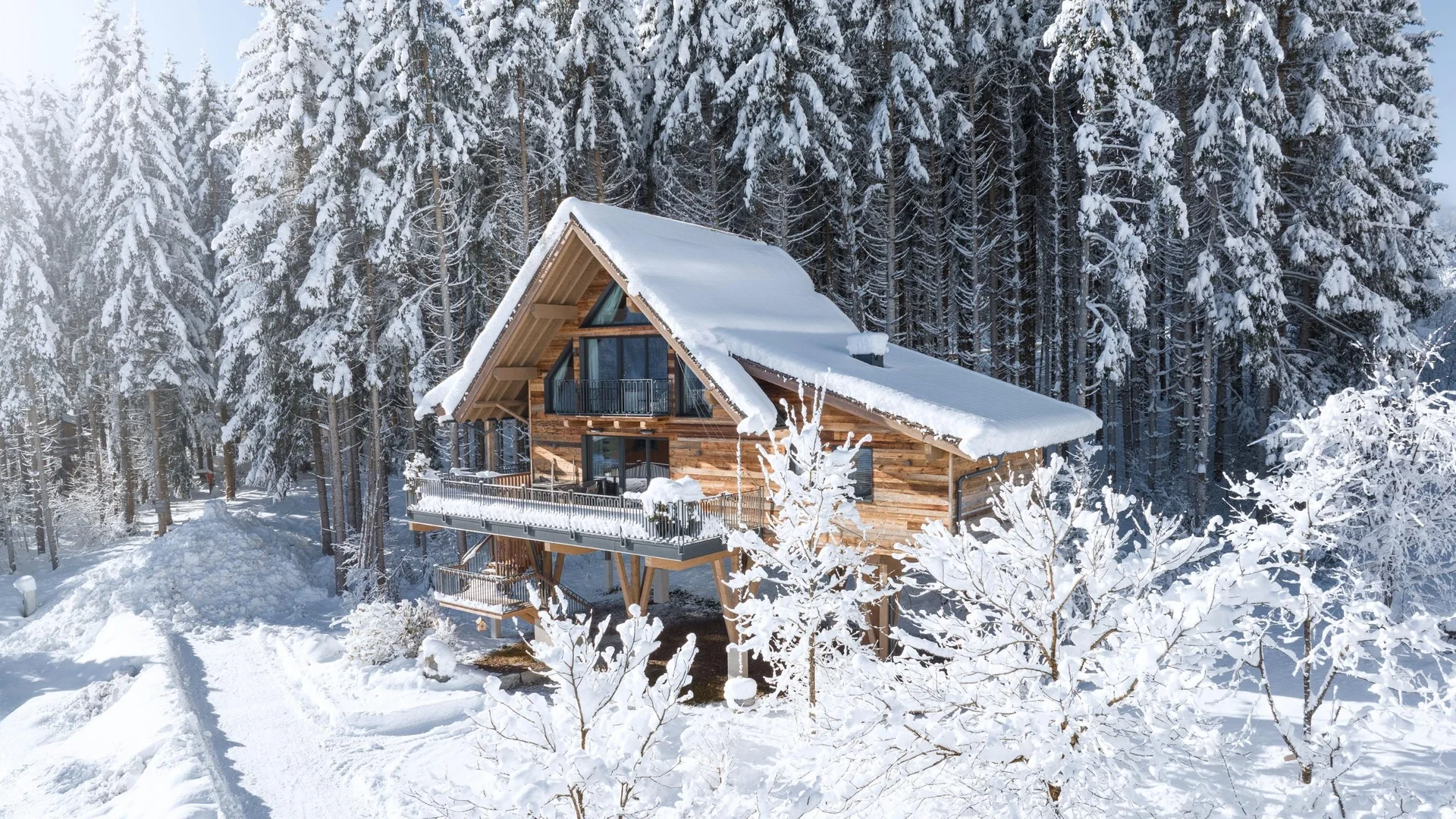 Baumhaus Baumhaus