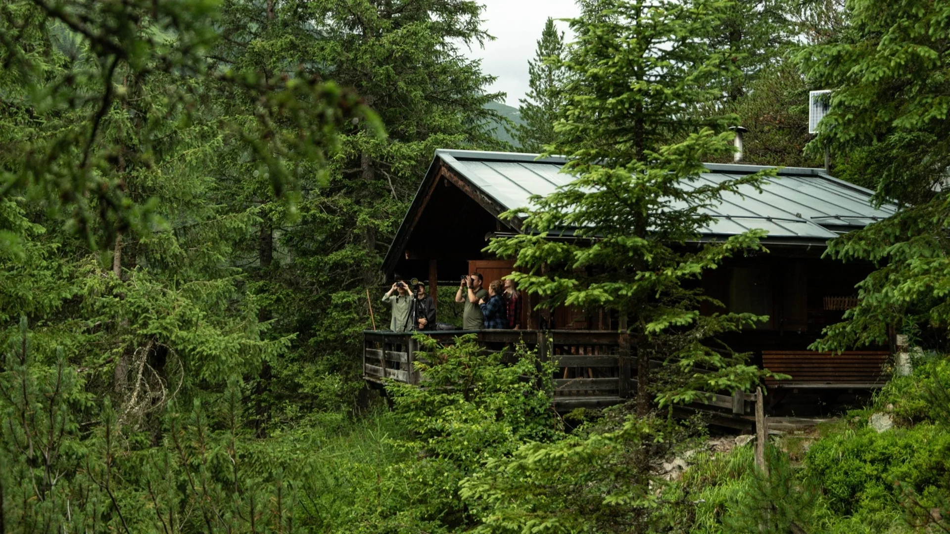 Wild Watching im Obersulzbachtal Wild Watching im Obersulzbachtal