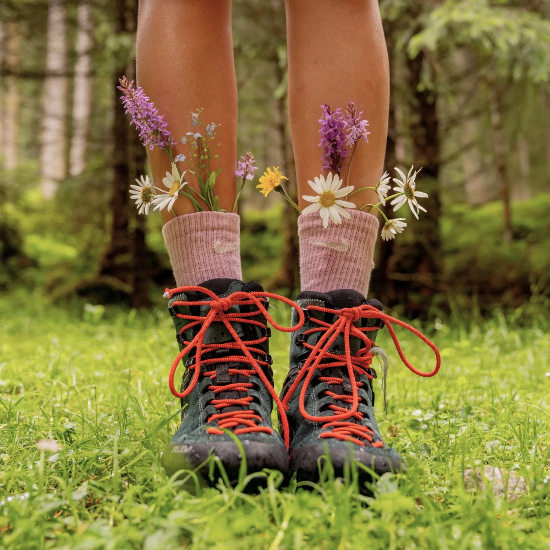 Beine mit Wanderschuhen und Socken, aus denen bunte Blumen wachsen, im Wald