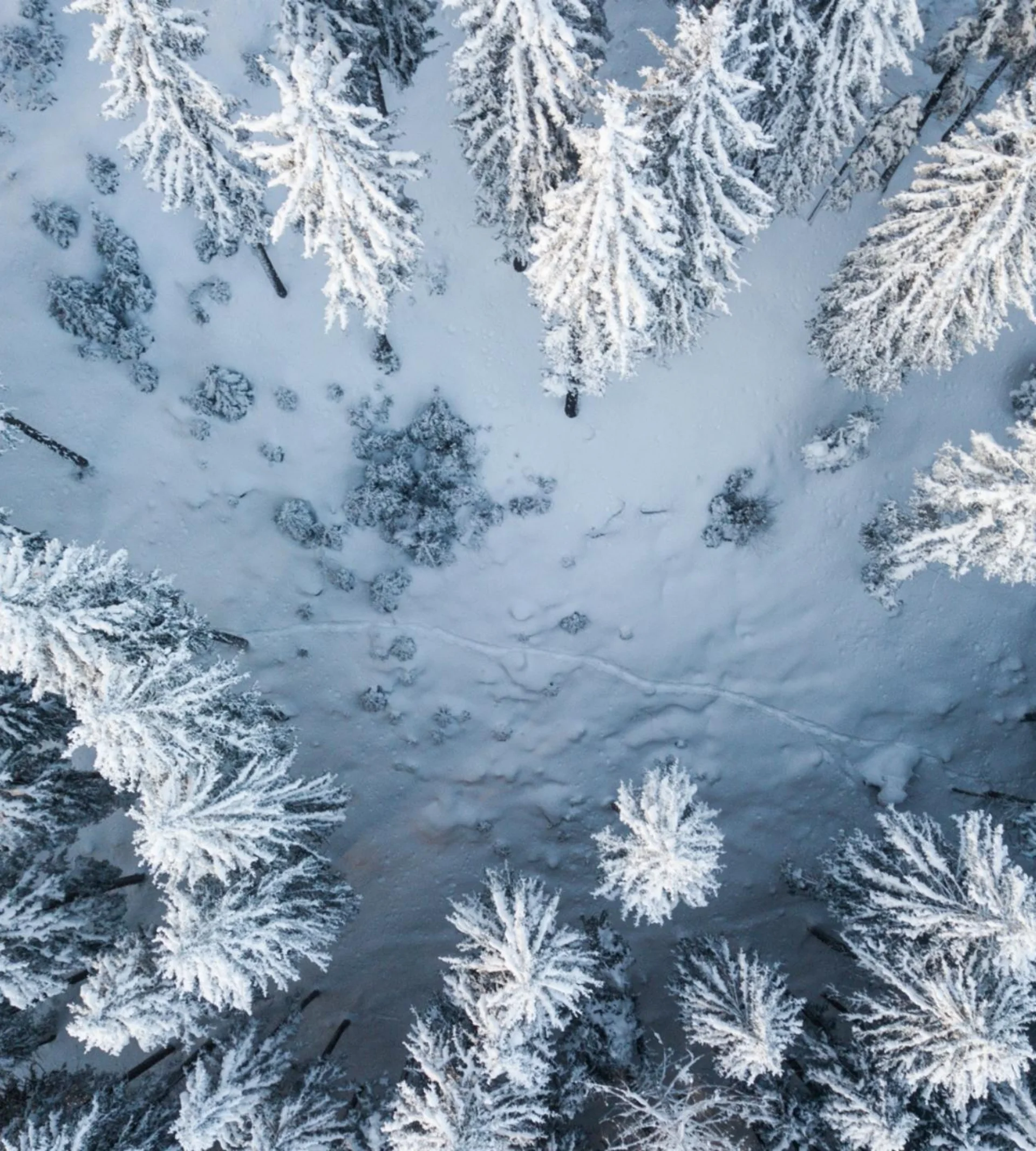 Abseits der Piste Abseits der Piste