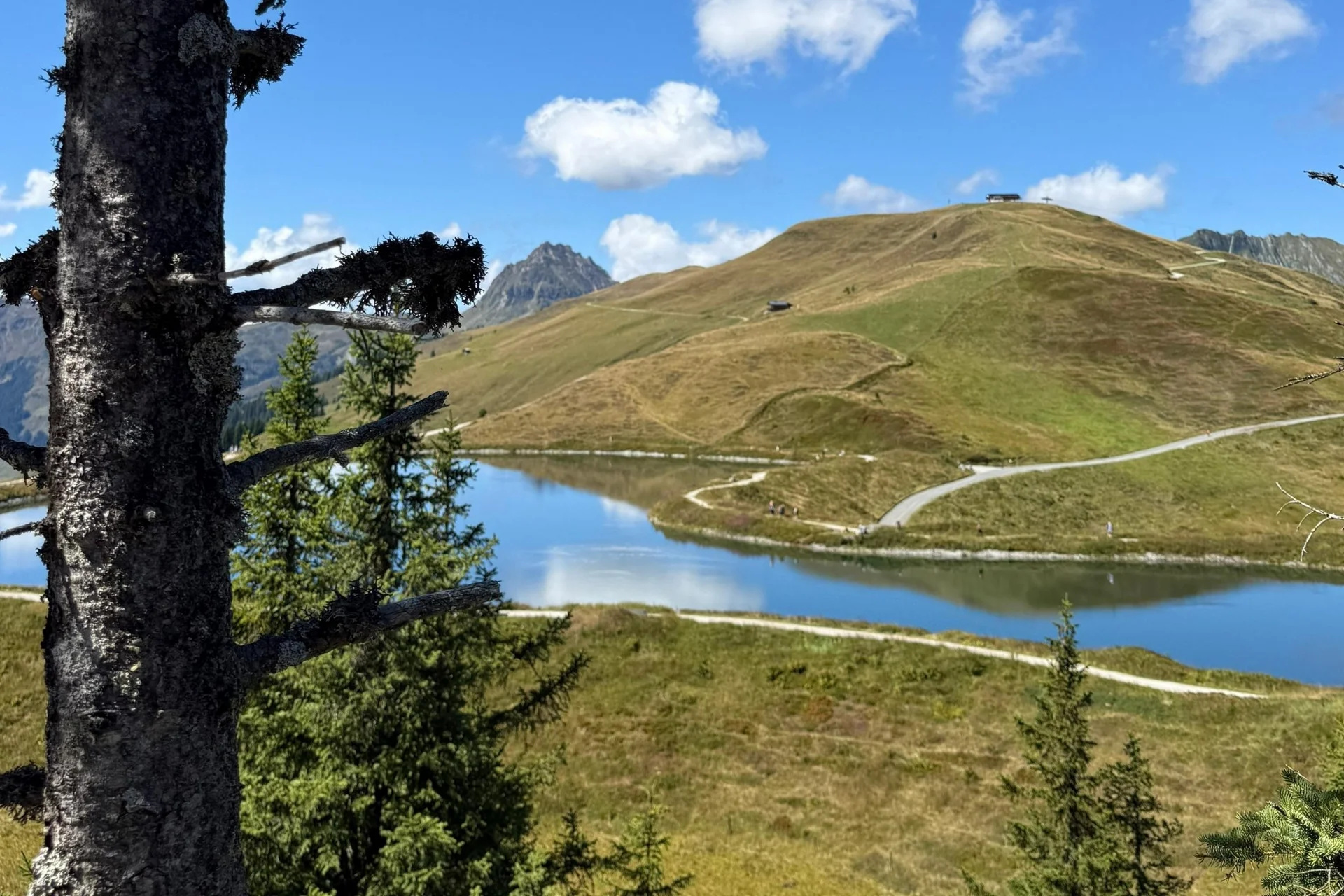 Hollersbachtal + Resterhöhe Hollersbachtal + Resterhöhe