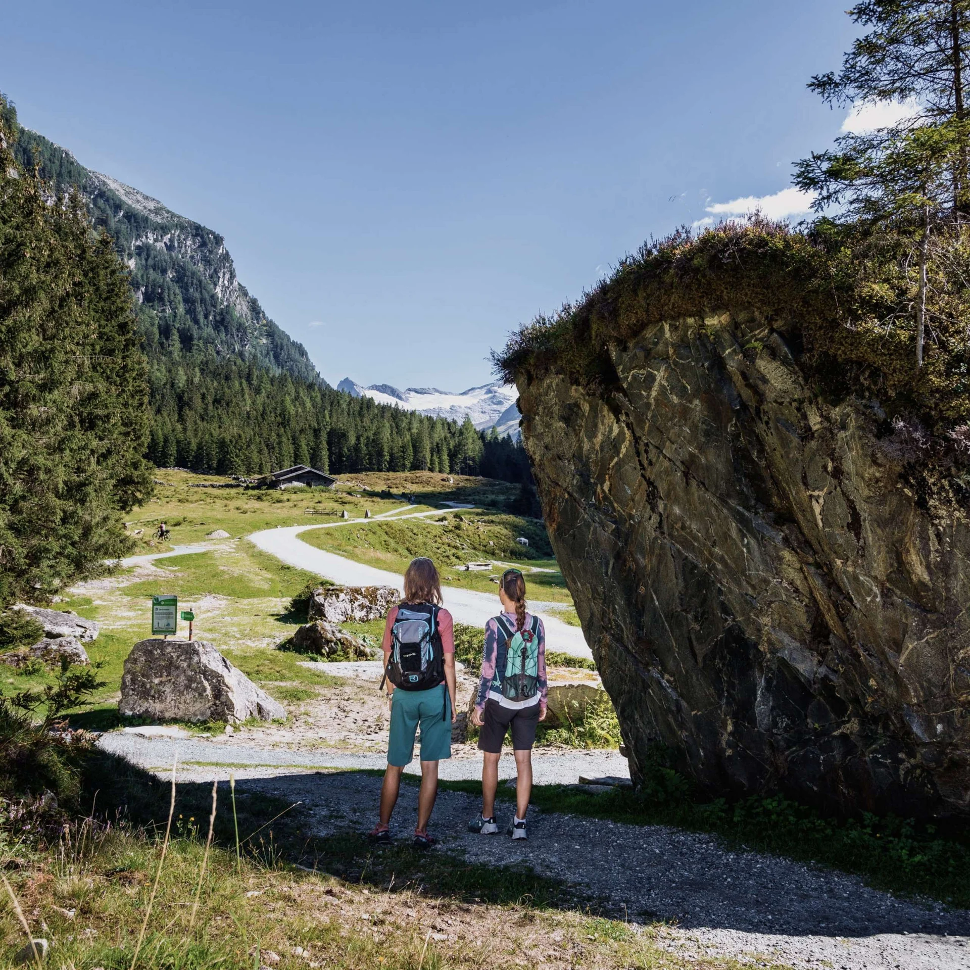 Zwei Wanderer mit Rucksäcken blicken auf Weg und Berge im Sommer