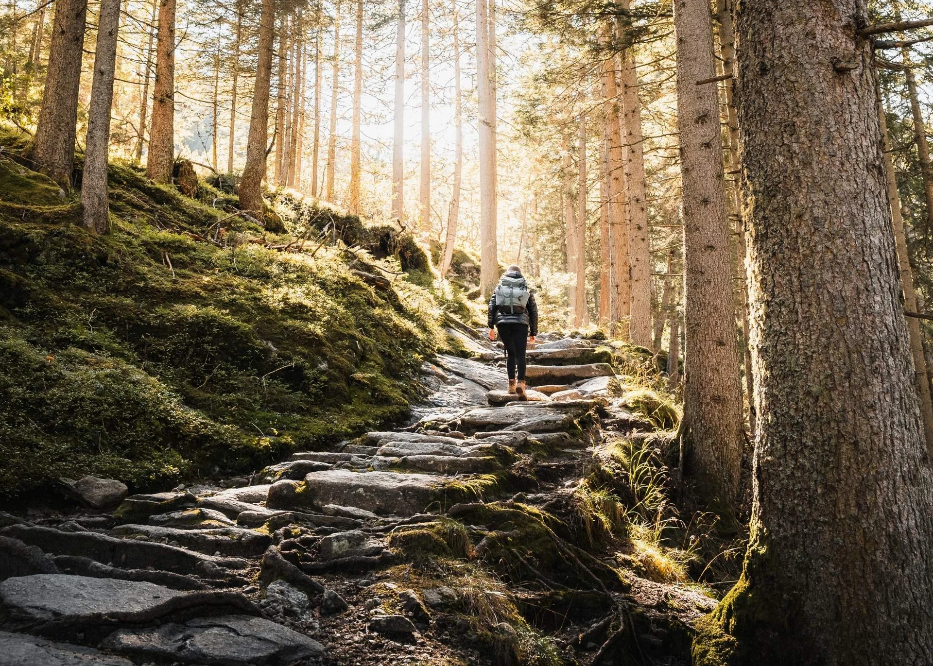 Wandern Person wandert auf steinigem Waldweg mit Sonnenlicht zwischen Bäumen