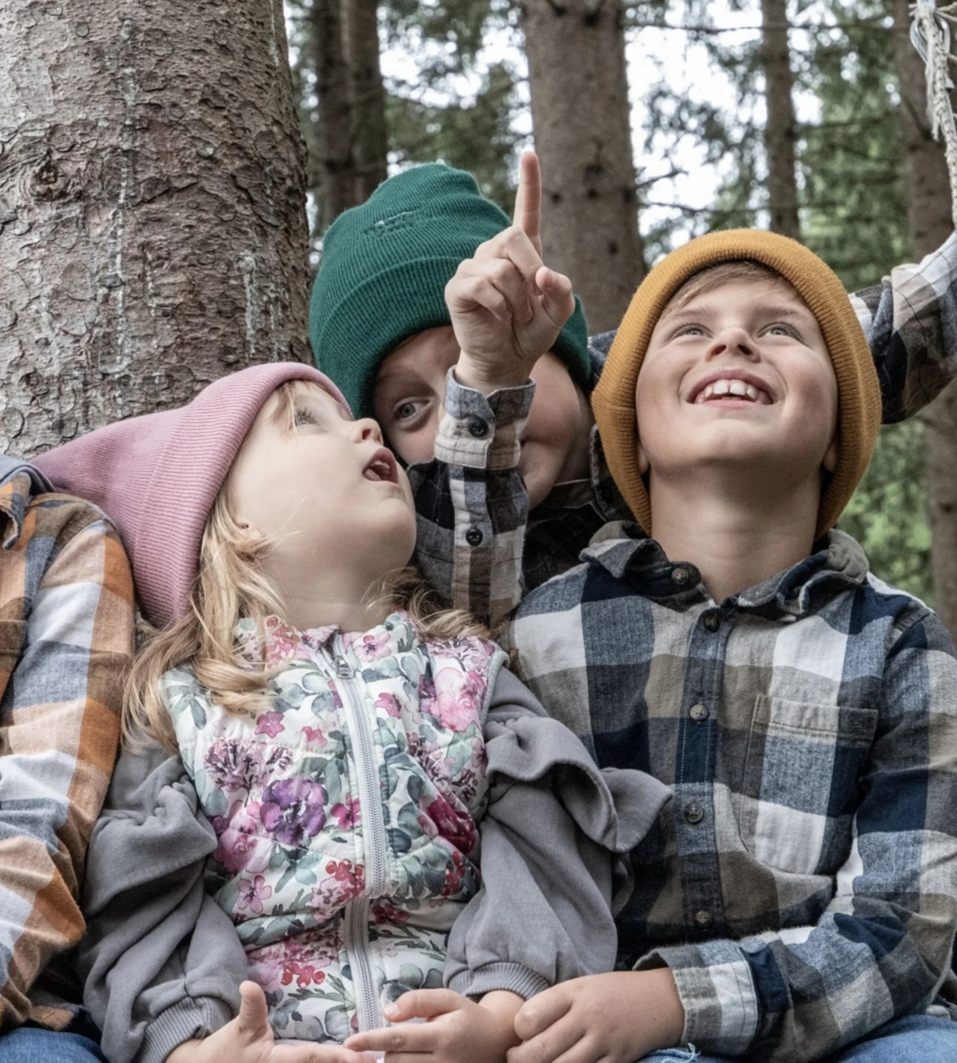 Vier Kinder im Wald schauen nach oben und einer zeigt mit dem Finger nach oben
