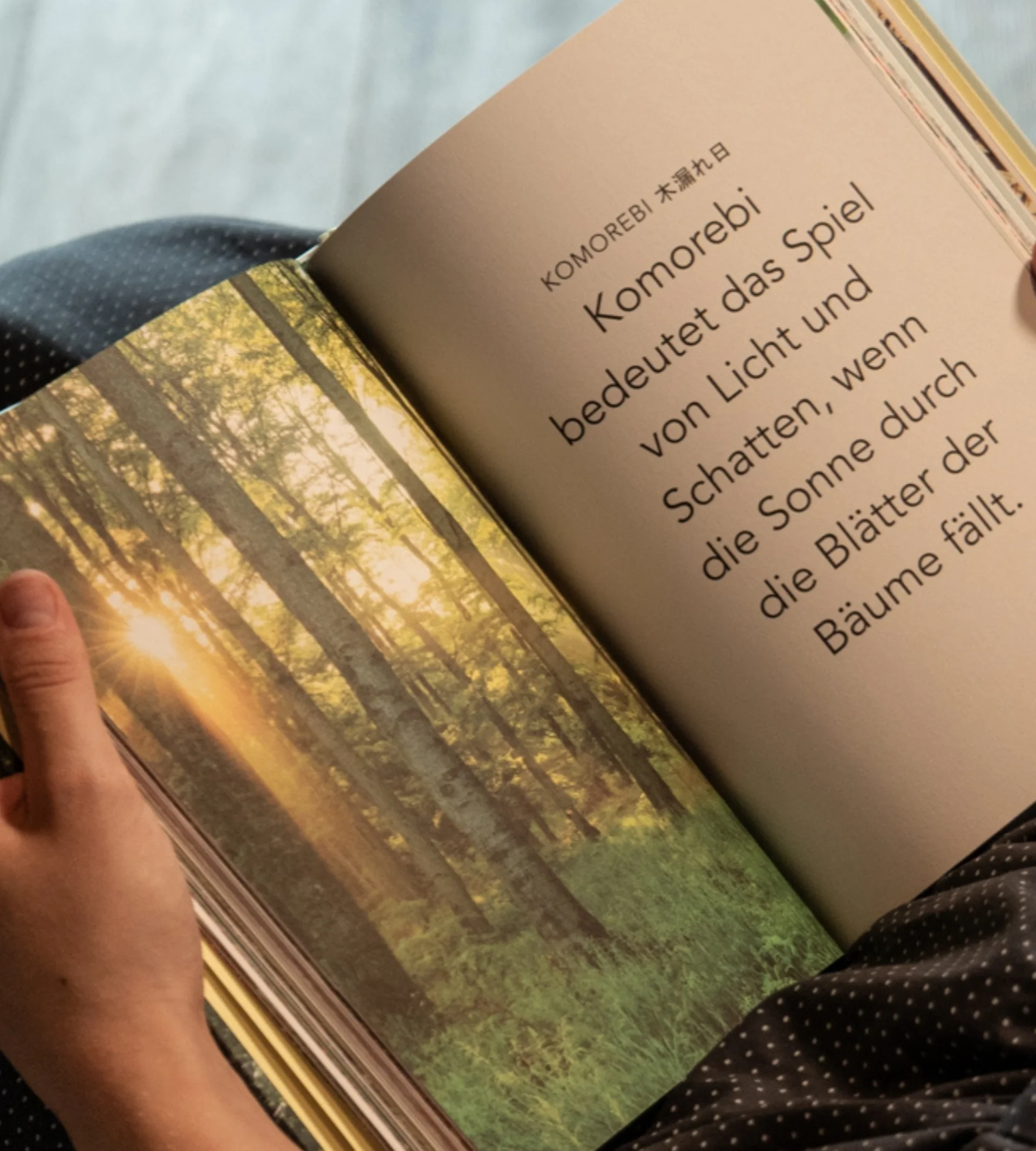 Babymoon im Gassner Baumhaus Person liest Buch über Komorebi, das Spiel von Licht und Schatten im Wald
