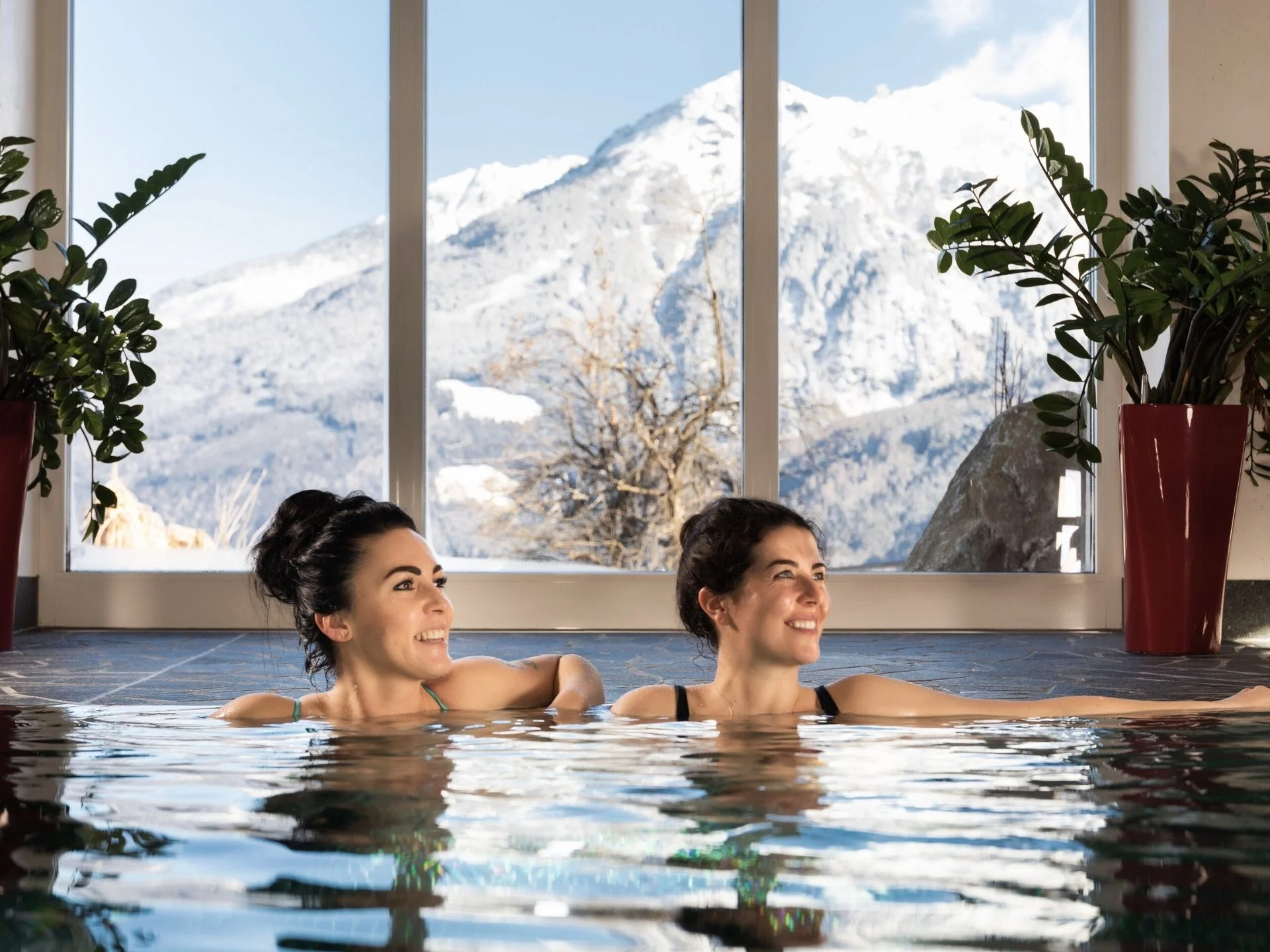 Wellness Wellness