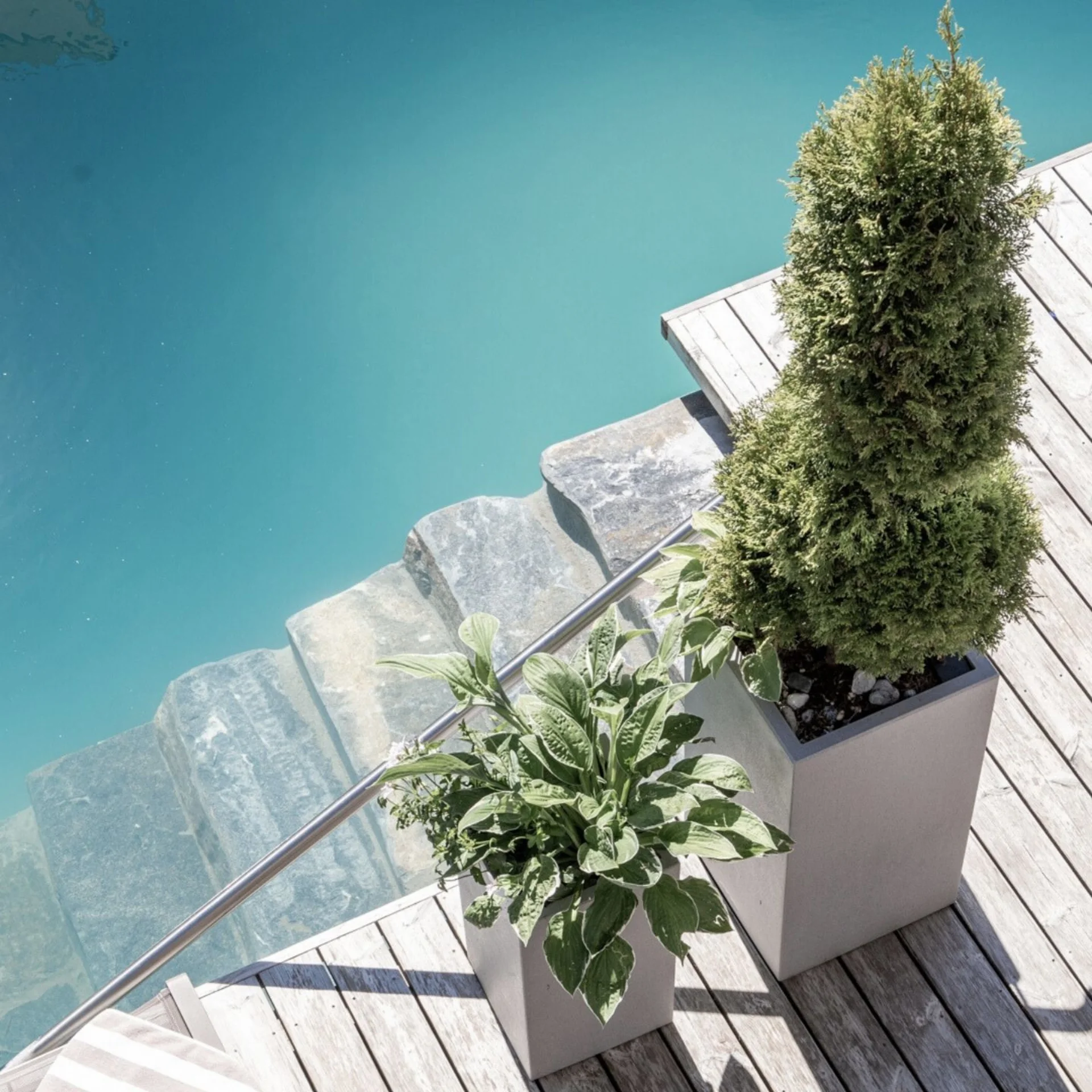 Zwei Pflanzen in Töpfen auf Holzterrasse neben klar blauem Wasser mit Steintreppe