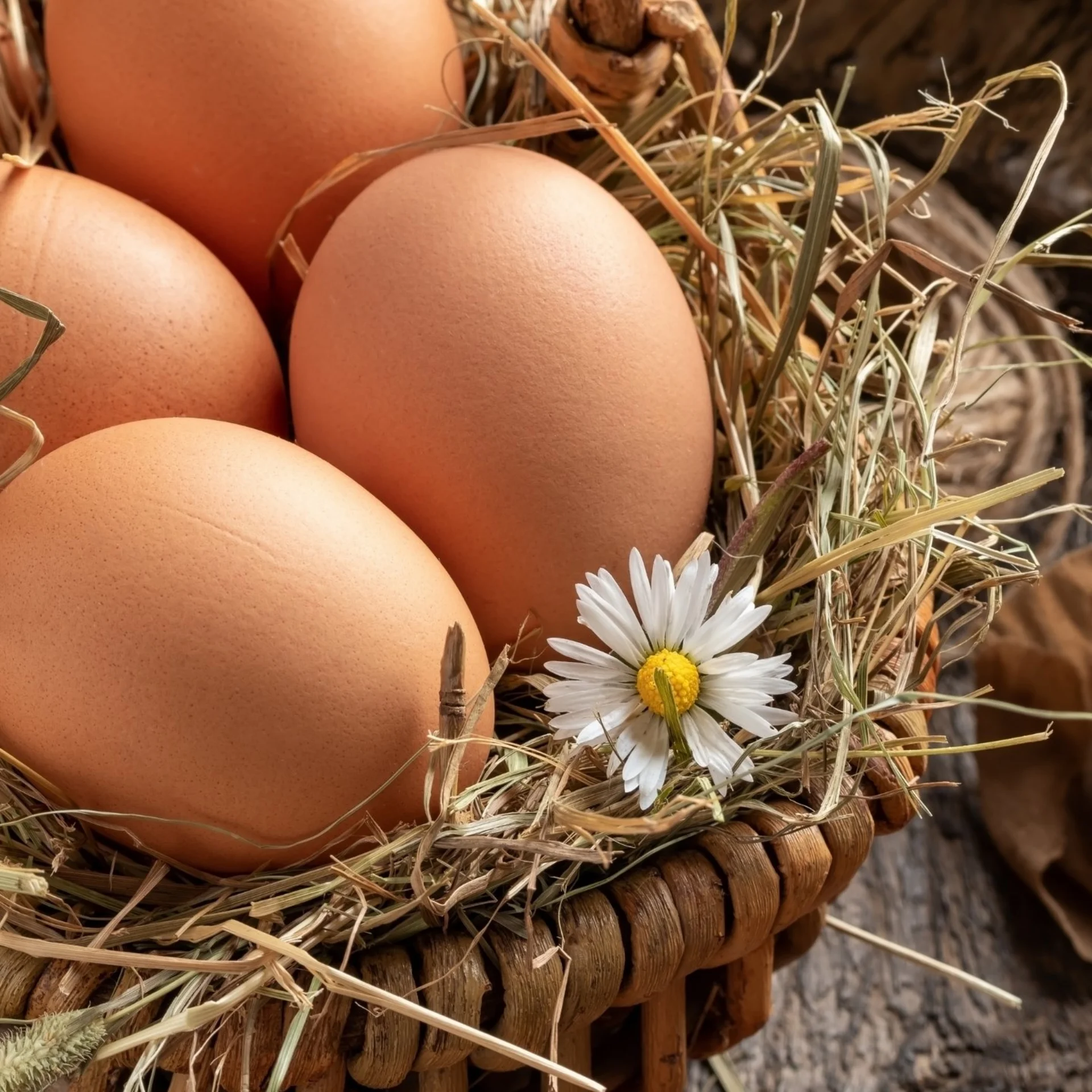 Braune Eier in einem Korb mit Heu und einer kleinen weißen Blume