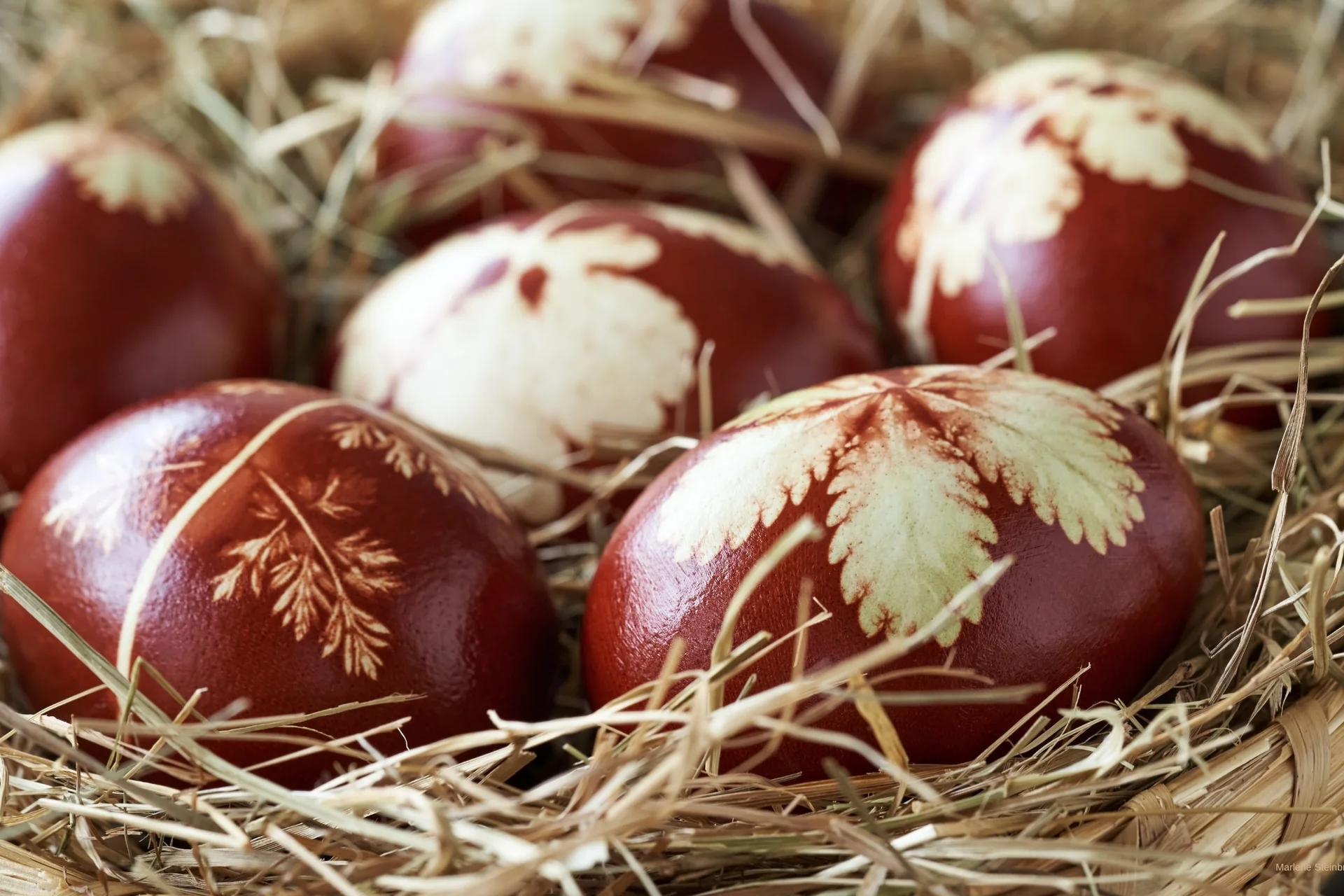 Rote Ostereier mit weißen Blattmustern in einem Korb mit Stroh