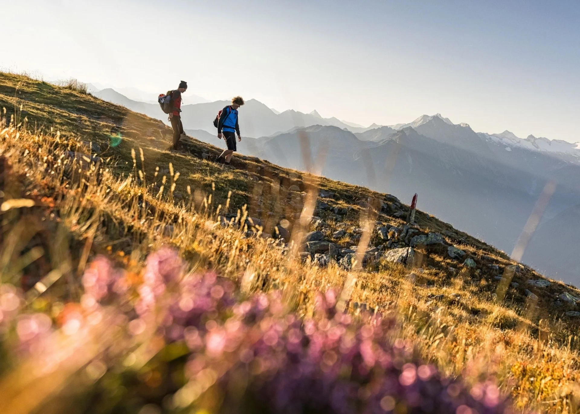 Zwei Wanderer auf einem Bergweg mit Alpenpanorama im Hintergrund