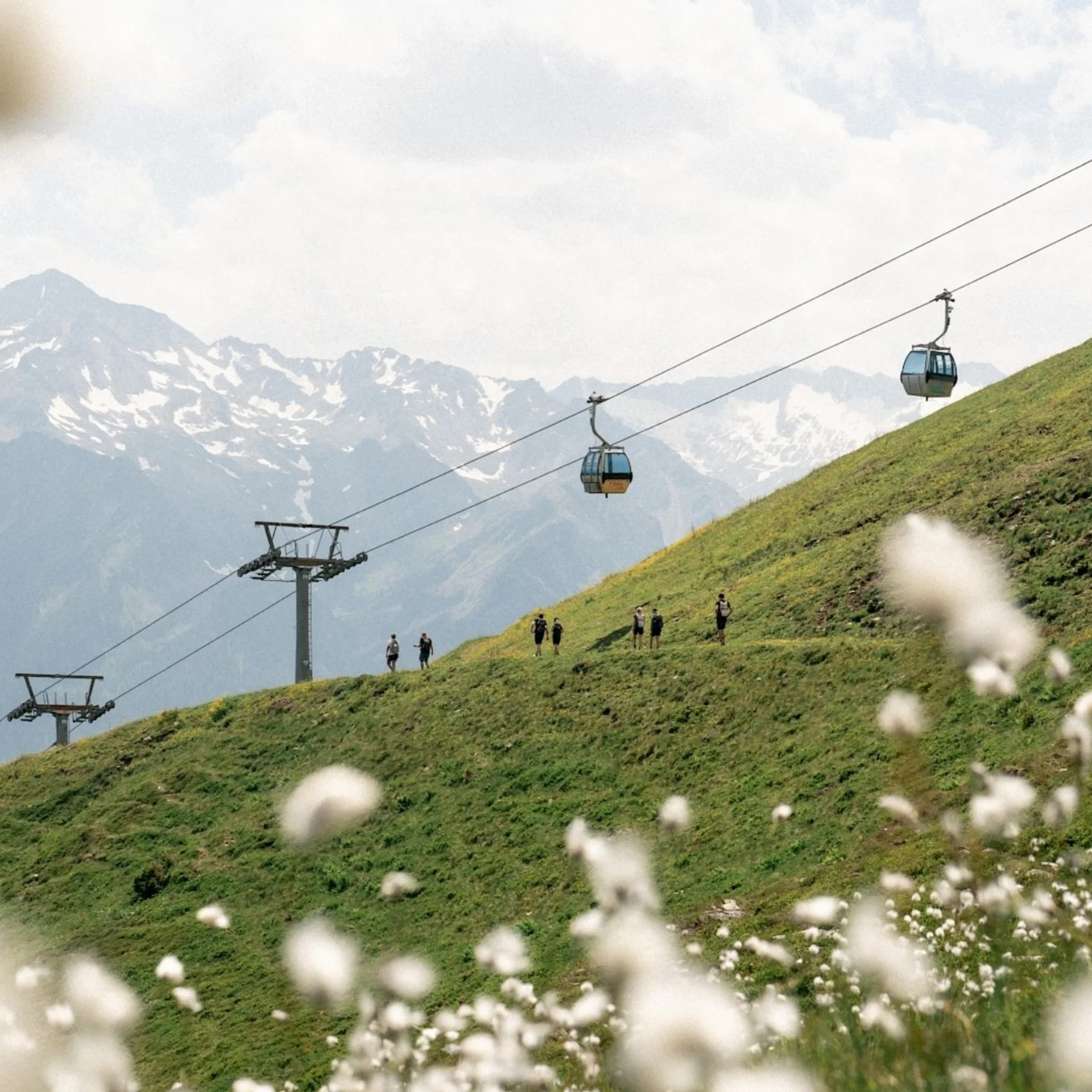 Home Cable cars over green alpine meadow with hikers and snow-capped mountains in background
