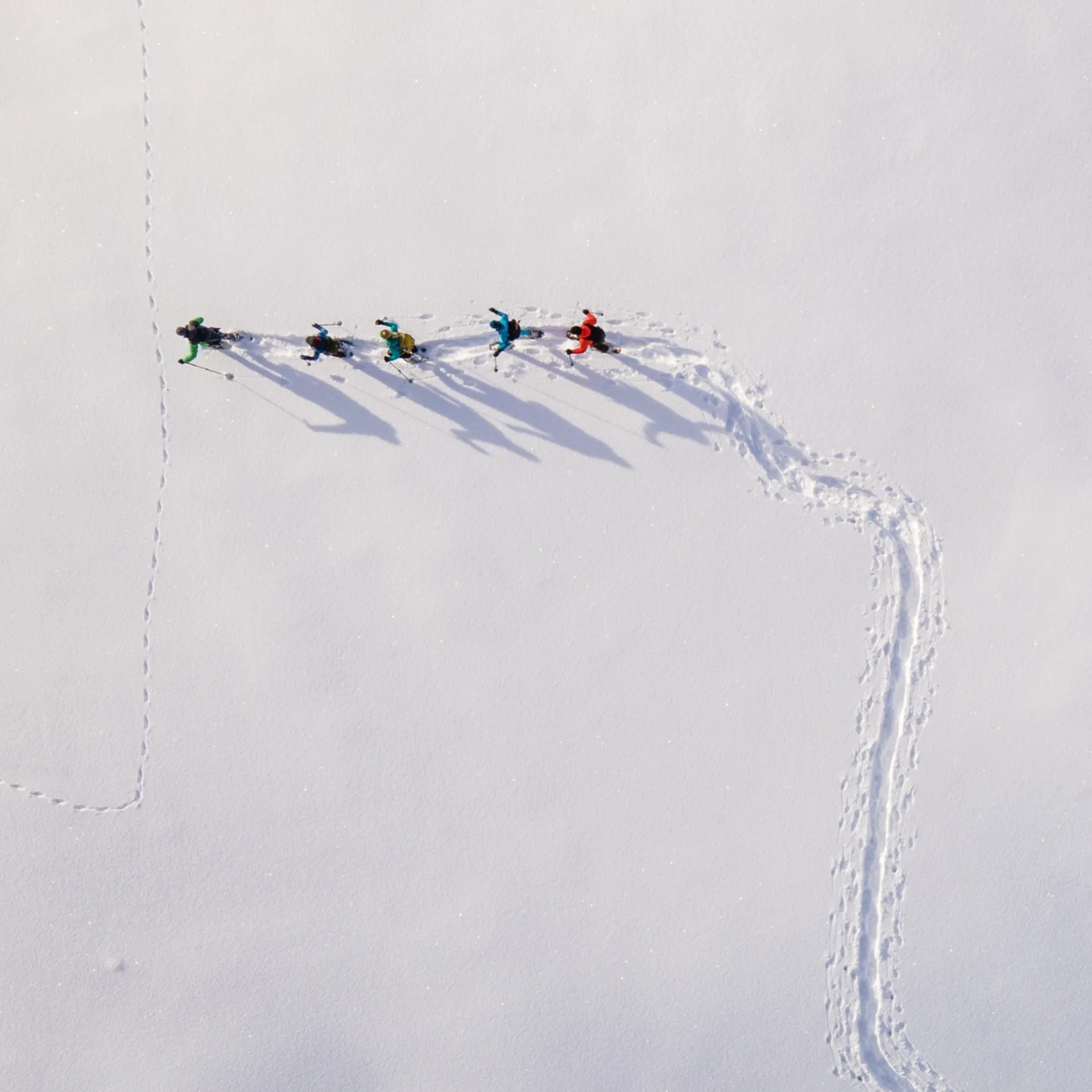 Winterwandern Winterwandern