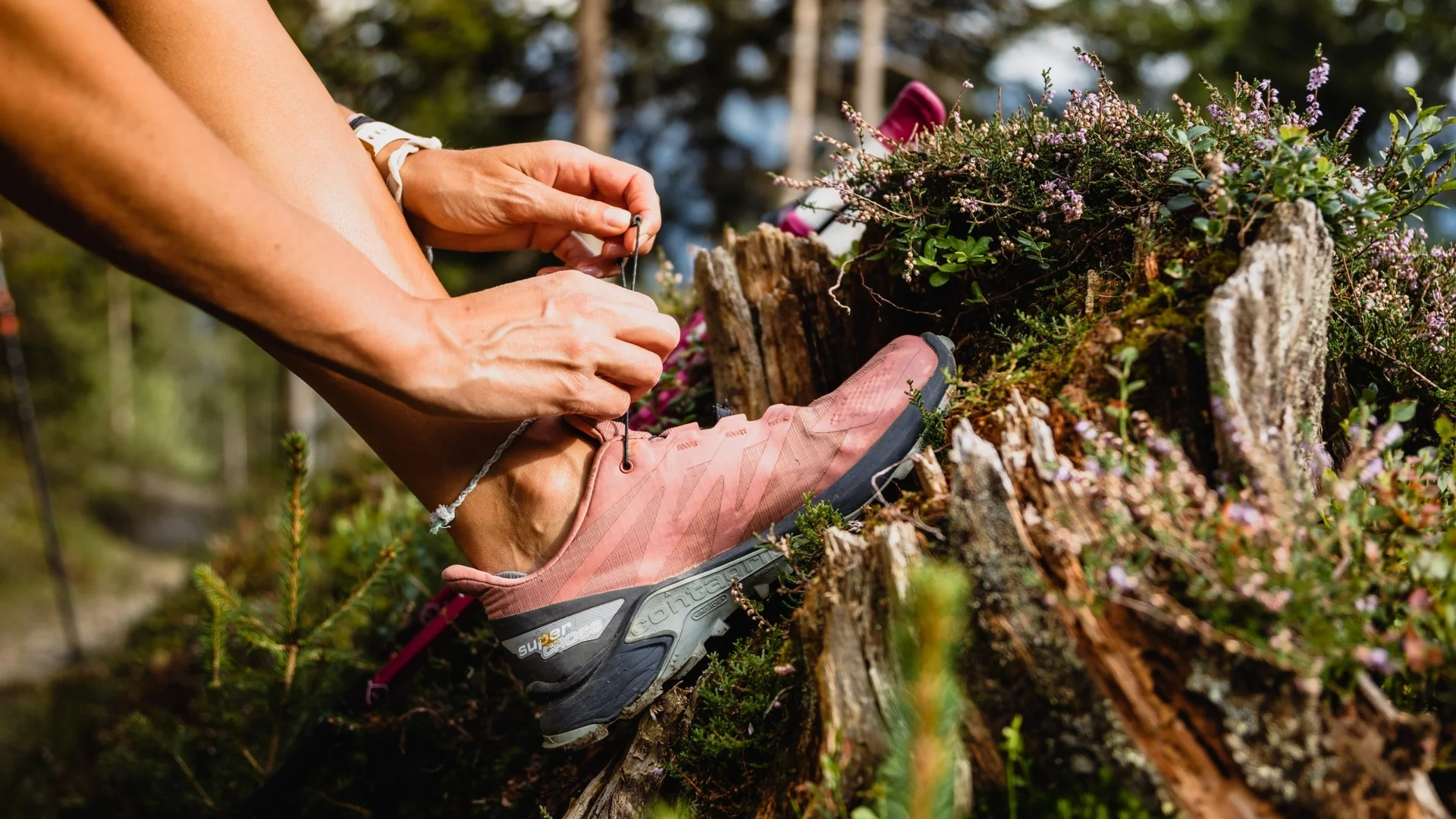 Person bindet Schnürsenkel an pinker Wanderschuh im Wald