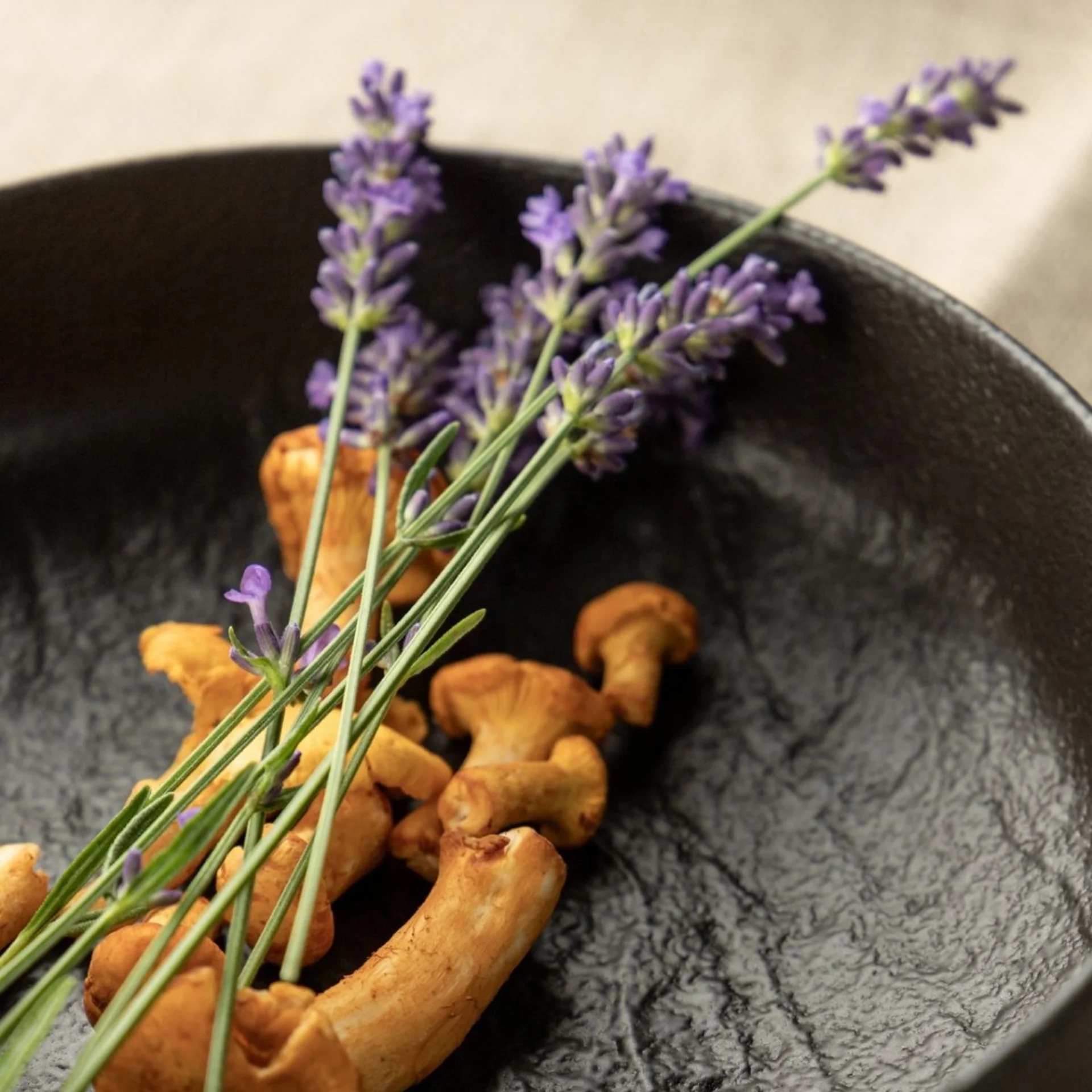 Gregors Sommerrezept: Gnocchi mit Basilikumpesto und Eierschwammerln Pfifferlinge und Lavendelzweige in einer schwarzen Schale